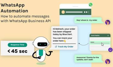 Vyapar Automation Empowers ROYS FINANCE with Cutting-Edge WhatsApp Automation