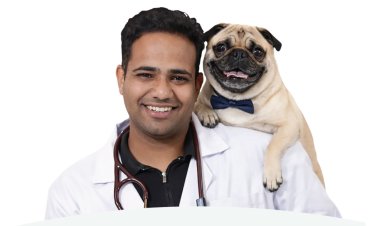 The Hidden Price of Cheap Kibble: Veterinarian Dr. Anshul Rawal on What Bargain Pet Food Is Doing to India's Dogs and Cats